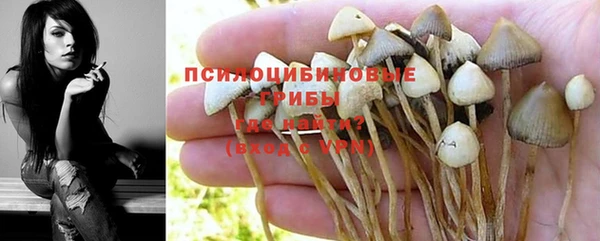 амф Белоозёрский