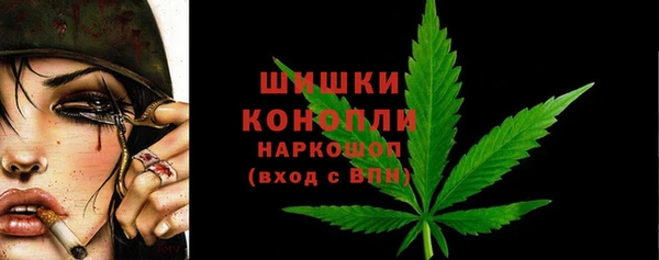 амф Белоозёрский