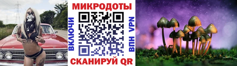 Псилоцибиновые грибы Magic Shrooms  mega как зайти  Черняховск  закладки 