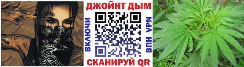 наркотики  Черняховск  МАРИХУАНА VHQ 
